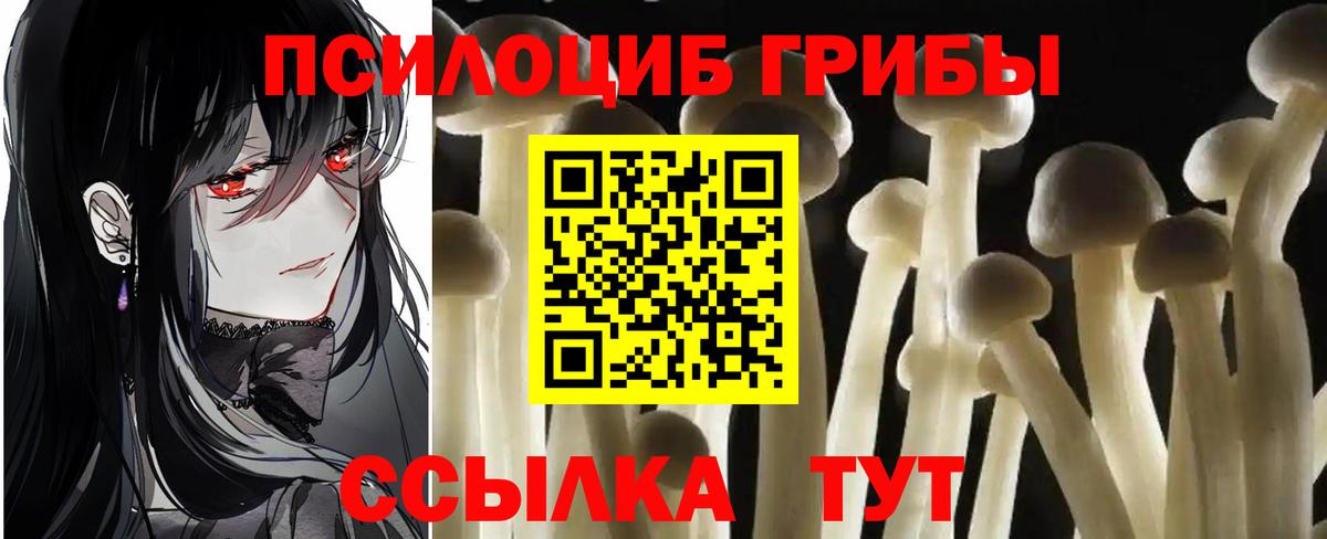 Галлюциногенные грибы GOLDEN TEACHER Барнаул